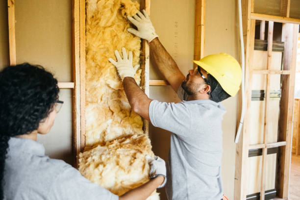 Best Attic Insulation Installation  in Prattville, AL